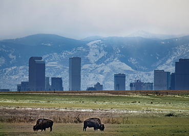 Rising Front Range rents are widespread and will keep climbing